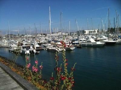 Meuble Face Vue Imprenable Sur La Mer, Parking Et Fibre Gratuits Apartment *